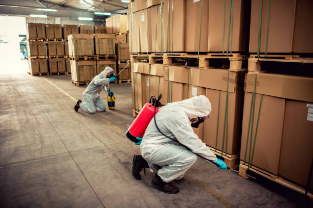 Trusted Montalvin Manor, CA Pest Control Experts