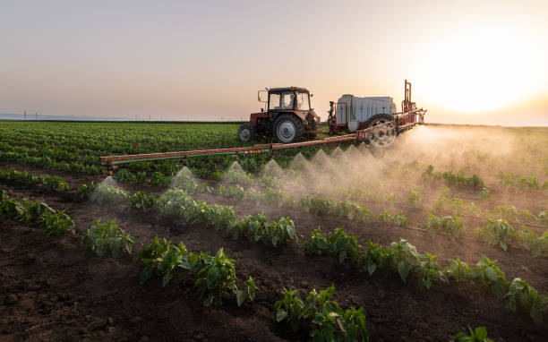 Best Commercial Pest Control Services  in Montalvin Manor, CA
