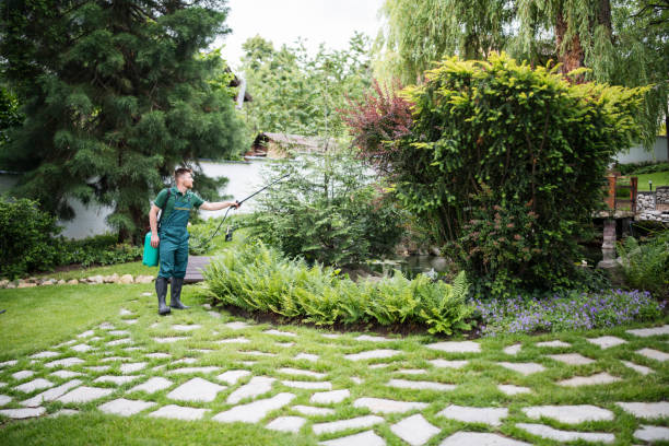Best Residential Pest Control  in Montalvin Manor, CA
