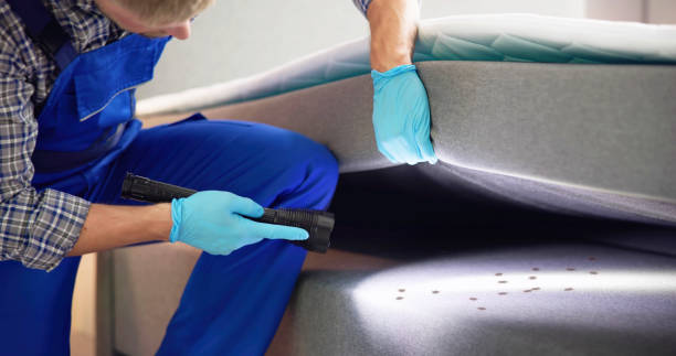 Best Flea Control Services  in Montalvin Manor, CA