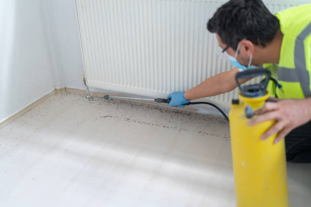 Best Pest Inspection Near Me  in Montalvin Manor, CA