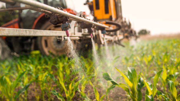 Best Mosquito Control Services  in Montalvin Manor, CA